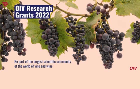 Becas de investigación vitivinícola 2022 de la OIV