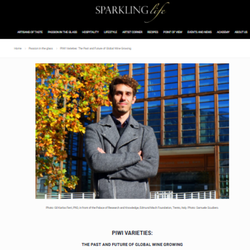 sparklin life